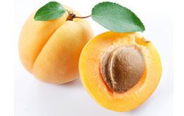 Tekasya Fruits Apricot