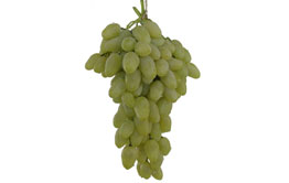 tekasya  Fruits Grapes